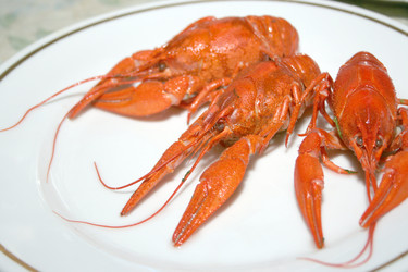 Similar image 963158