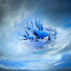 Similar image 963163