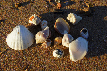 Similar image 963194