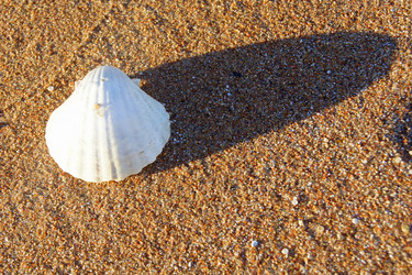 Similar image 963196