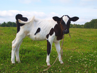 Similar image 963199