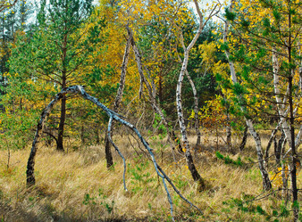 Similar image 963261