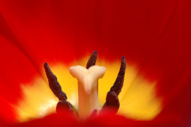 Similar image 963336