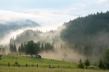 Similar image 963439