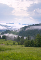 Similar image 963441