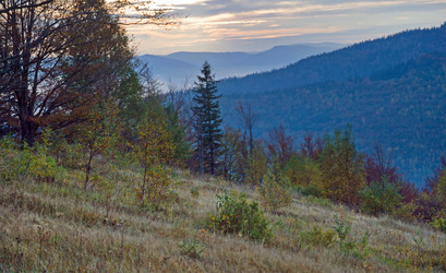 Similar image 963461