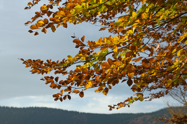 Similar image 963479