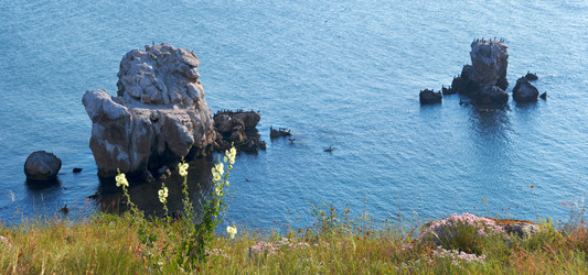 Similar image 963503