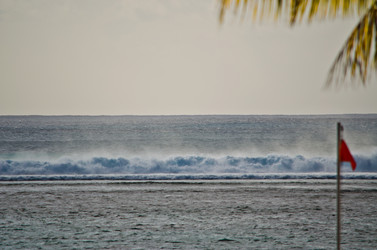 Similar image 963529