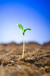 Similar image 963540