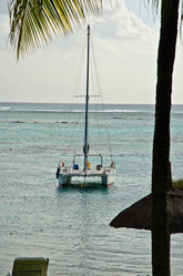 Similar image 963541