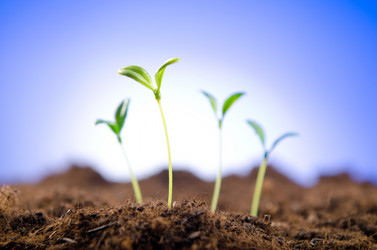 Similar image 963542