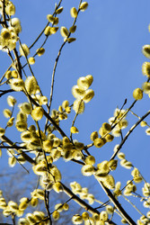 Similar image 963545