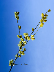 Similar image 963547