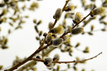 Similar image 963549