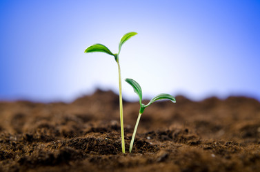 Similar image 963556