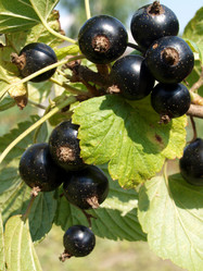 Similar image 963557