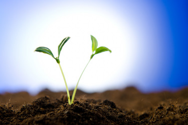 Similar image 963560