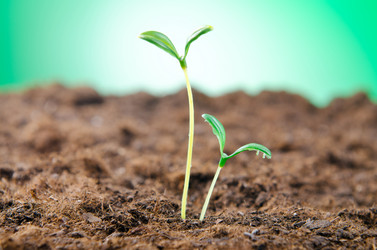 Similar image 963562