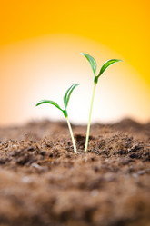 Similar image 963565