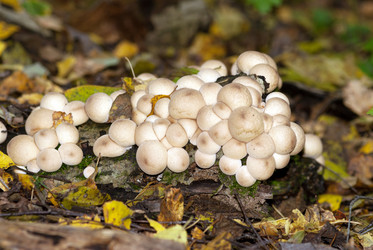 Similar image 963576