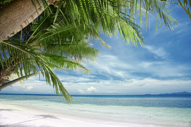 Similar image 963577