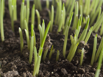 Similar image 963589