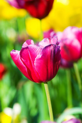 Similar image 963795