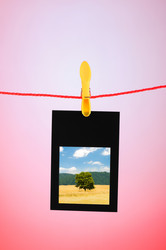 Similar image 963808