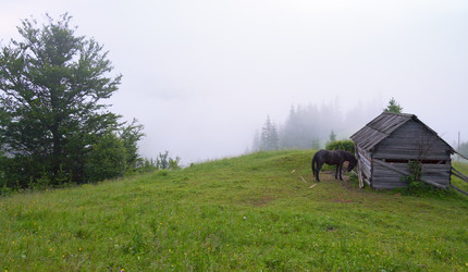 Similar image 963827