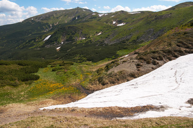 Similar image 963856