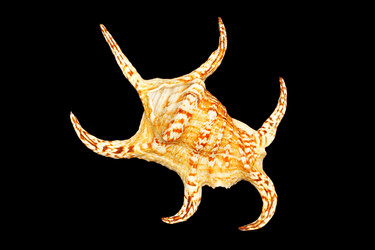 Similar image 963899