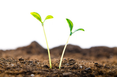 Similar image 963927