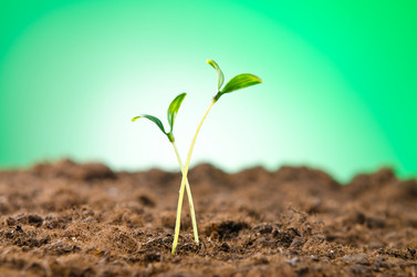 Similar image 963930