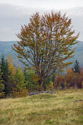 Similar image 963944