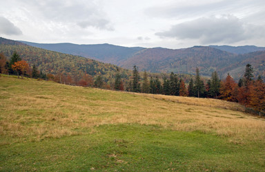 Similar image 963946