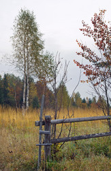 Similar image 963972