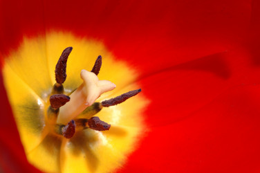 Similar image 963982