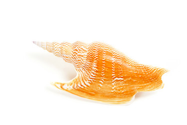 Similar image 963988