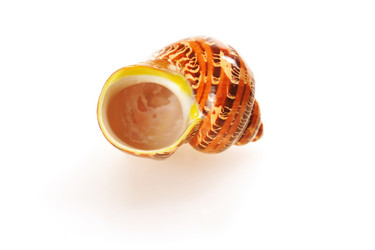 Similar image 964001