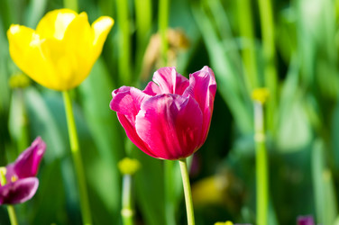 Similar image 964102