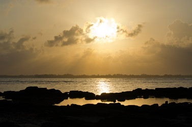 Similar image 964218