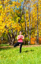 Similar image 964227