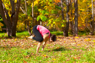 Similar image 964230