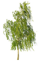 Similar image 964237