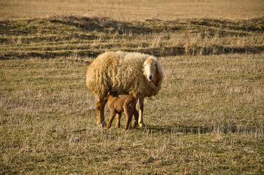 Similar image 964254