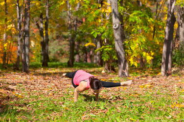 Similar image 964276