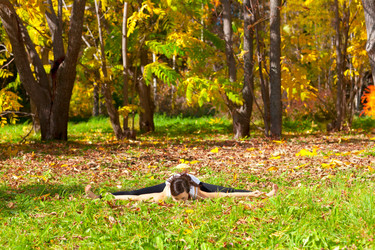 Similar image 964278