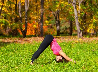 Similar image 964280