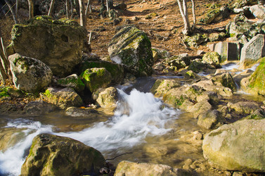 Similar image 964282